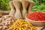 New Project(7)
