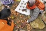 Jonbeel Mela with rare barter system from Jan 22 at Jagiroad WhatsApp Image 2026-01-16 at 12.27.47 AM