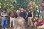 New Project(15)