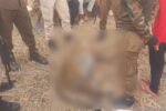 Leopard killed by angry residents in Duliajan Leopard killed by angry residents