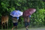 Schools shut in 5 Mizoram districts as heavy rain, winds lash state New Project(6)