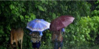 Schools shut in 5 Mizoram districts as heavy rain, winds lash state
