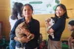 Mother’s Day camp helps strays find homes in Dibrugarh Mother’s Day camp helps strays find homes
