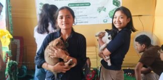 Mother’s Day camp helps strays find homes in Dibrugarh