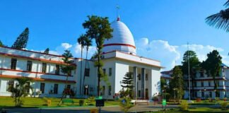 Gauhati HC tells WII to conduct ecological study of Guwahati Ring Road before start of construction work