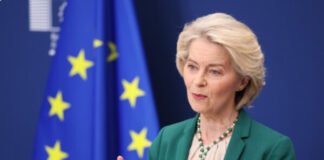 EU-Mercosur trade deal takes provisional effect