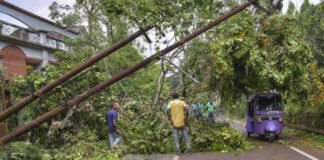 Two persons dead, four injured in storm-related incidents in Tripura