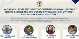 Nagaland University study documents Sonowal Kachari herbal knowledge