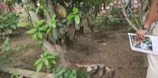 Petrol bombs lobbed at Congress candidate’s house in Assam