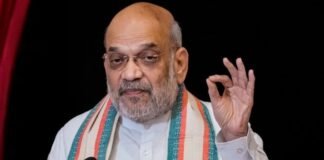 Strength of democracy lies in institutional balance: Shah