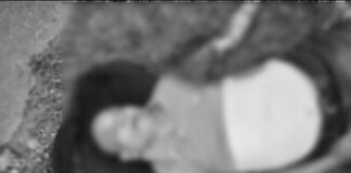 Cook killed in road accident on NH-15 at Sootea